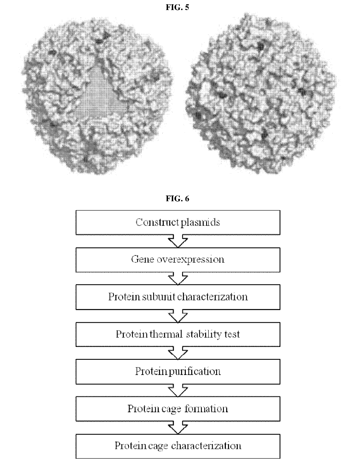 Nanocapsules carrying chikungunya-associated peptides