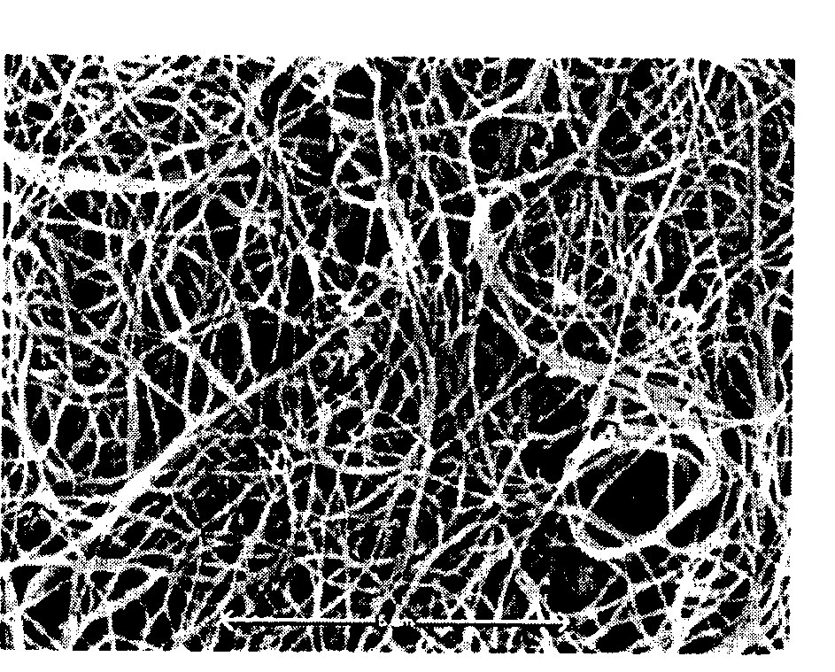 Decellularized adipose tissue