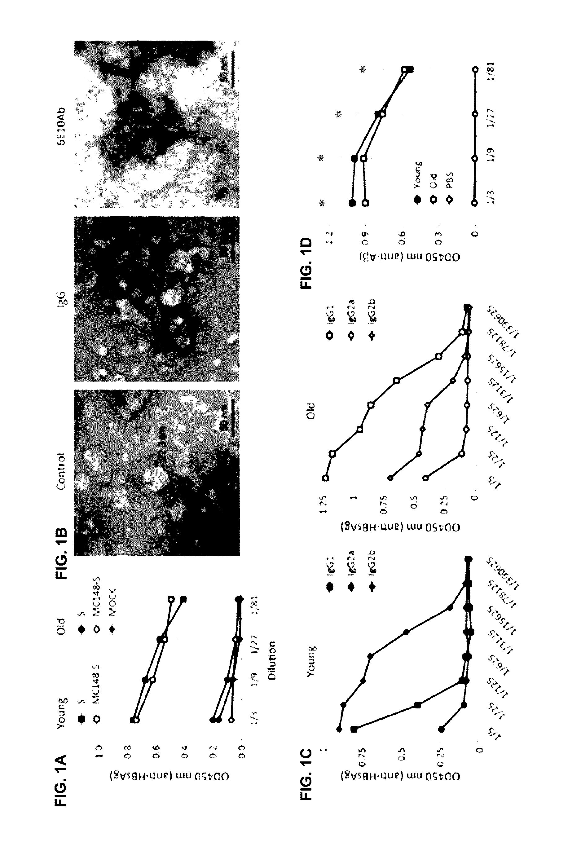 Vaccines for protection from and treatment of alzheimer's disease