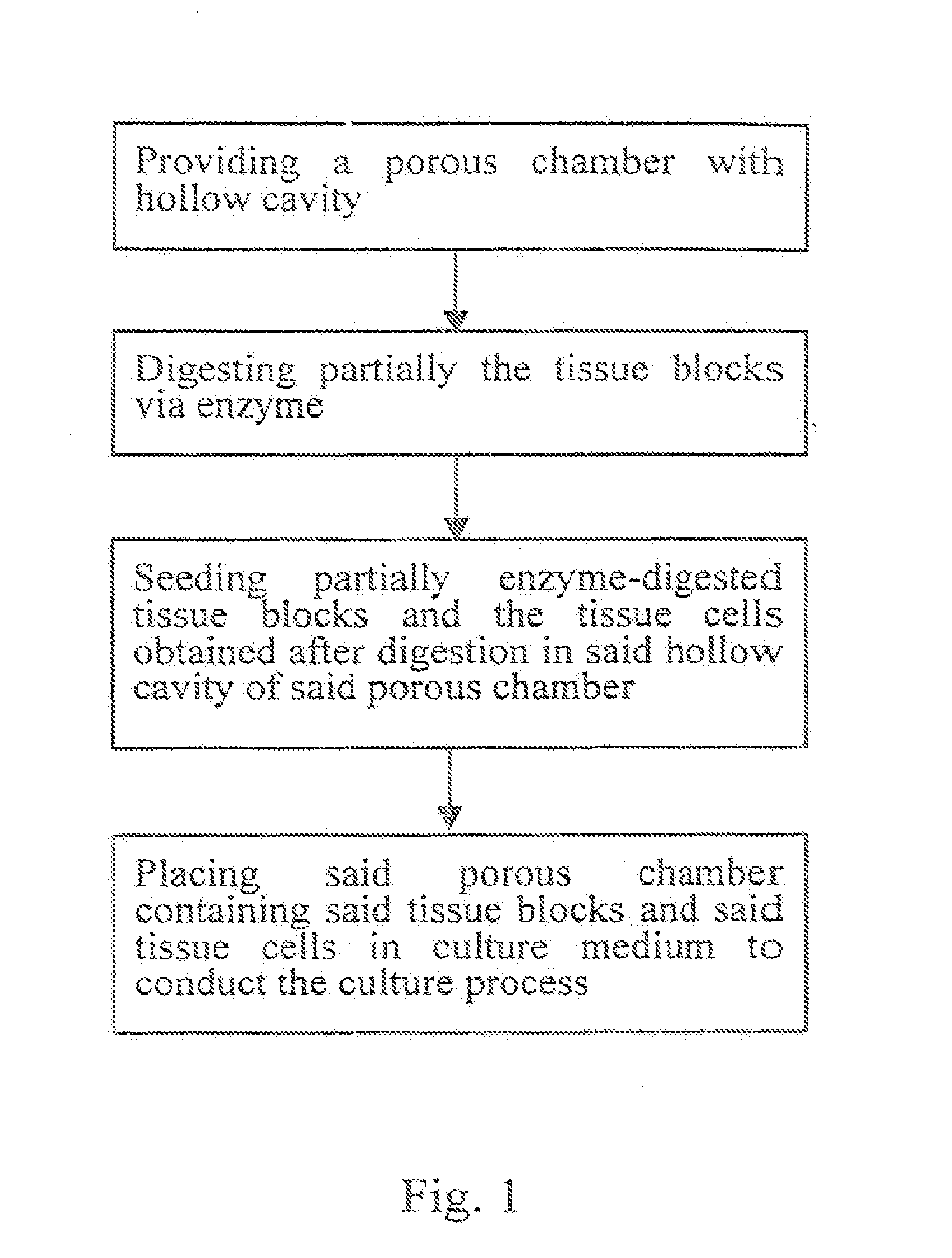 Porous chamber for tissue culture in vitro