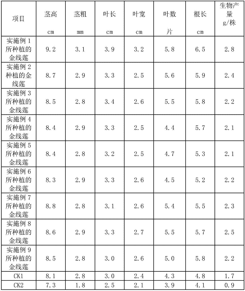 Planting method of selenium-enriched anoectochilus roxburghii hayata