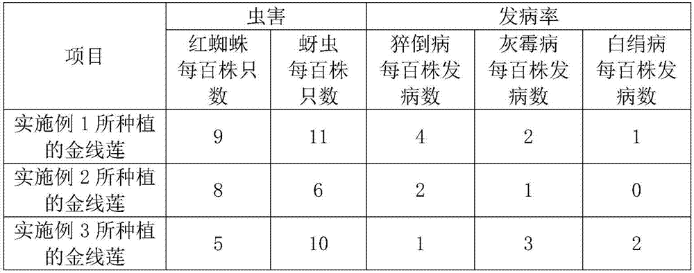 Planting method of selenium-enriched anoectochilus roxburghii hayata