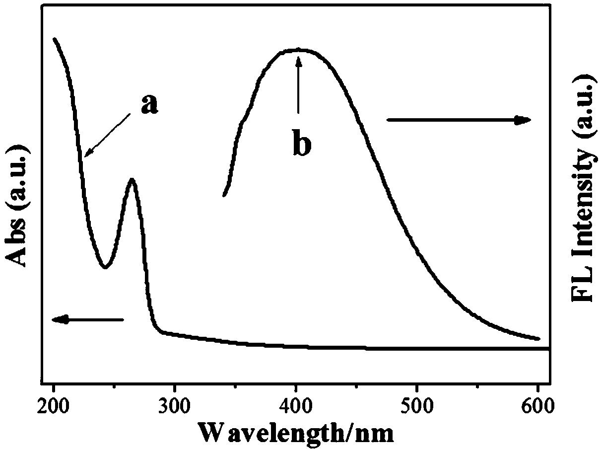 A novel fluorescent carbon-based nanomaterial and its preparation method and application