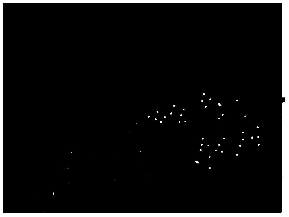 Method and system for crowd semantic segmentation