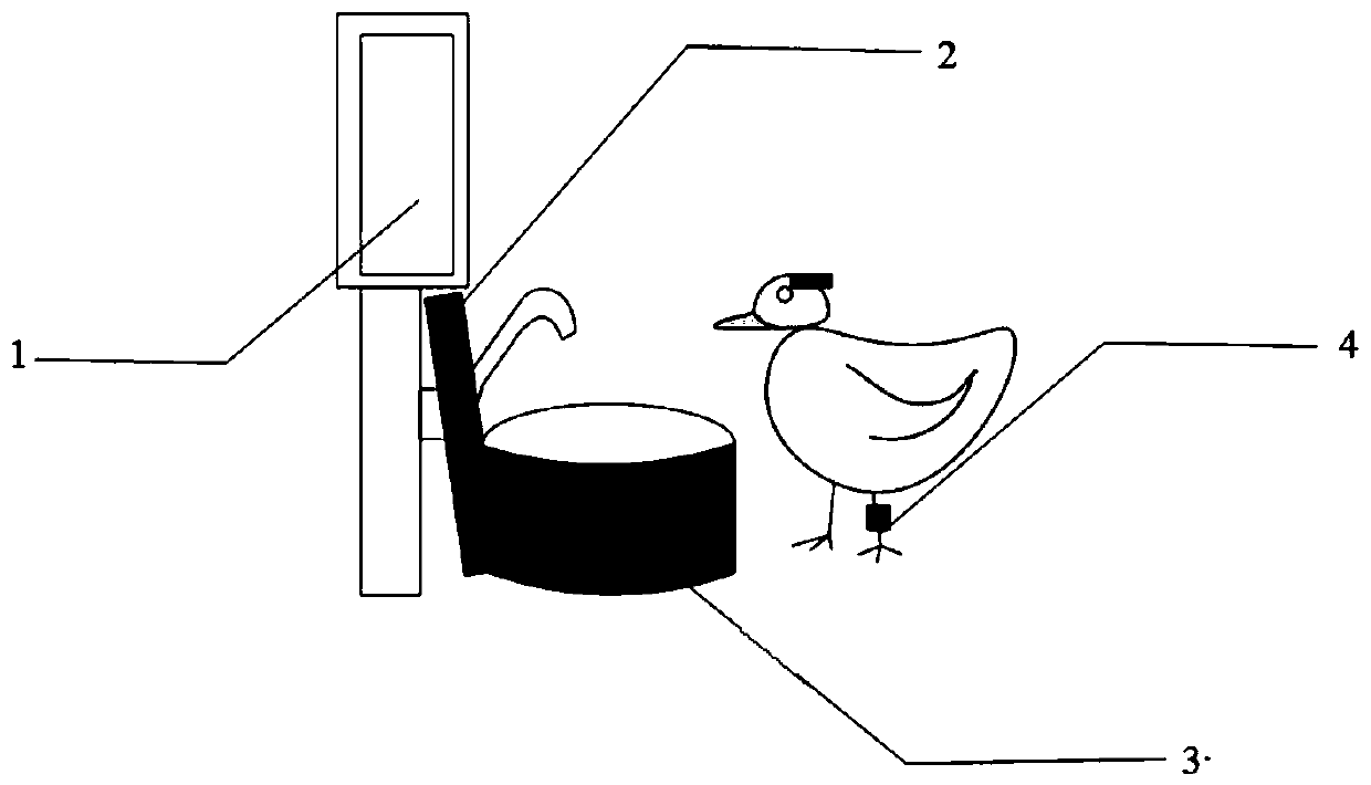 Water drinking device and system controllable in water amount for chicks