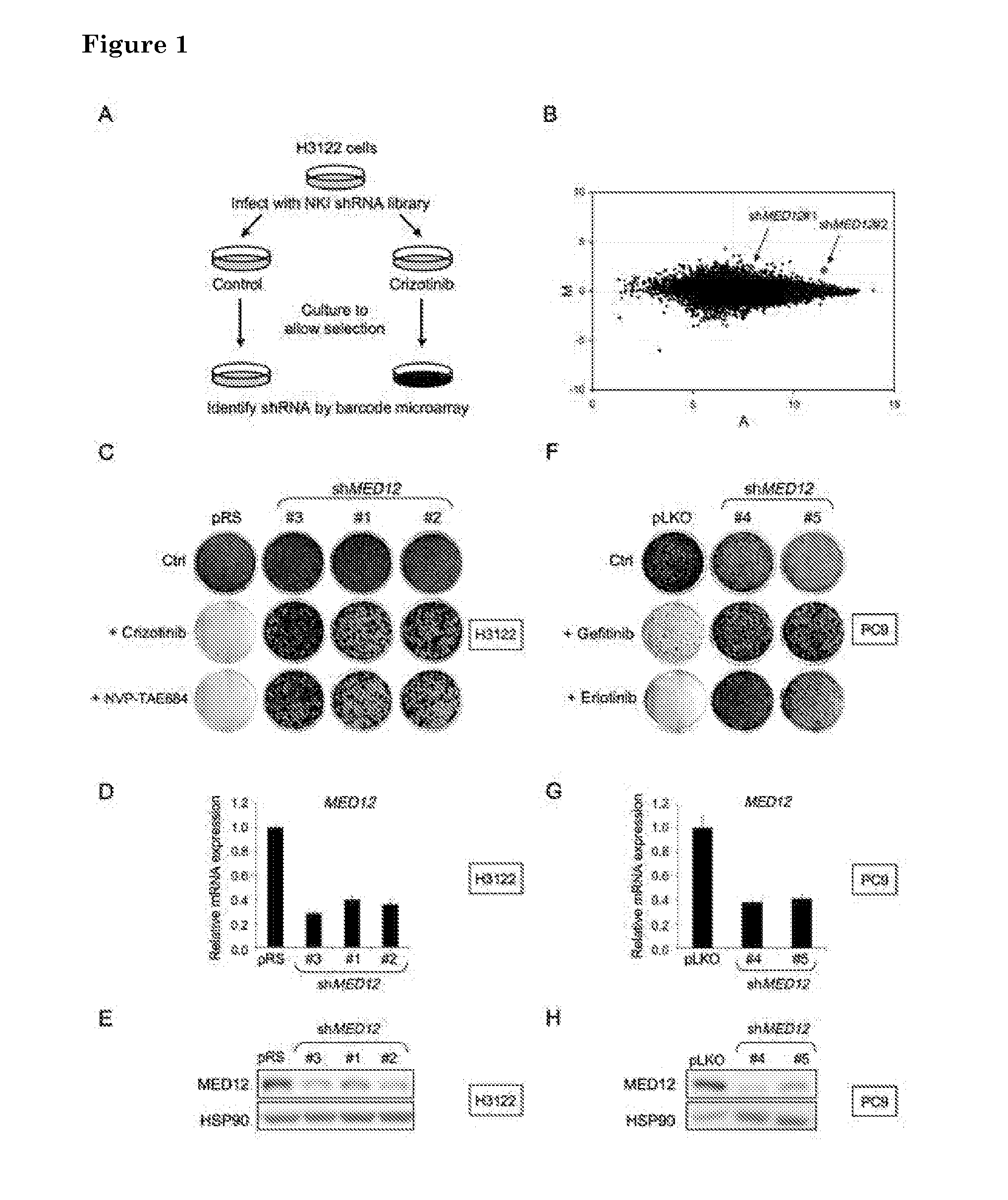 Methods and means for predicting resistance to Anti-cancer treatment