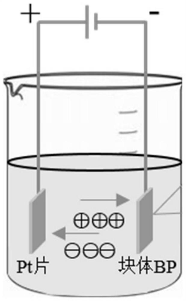 Black phosphorus nanosheet, preparation method and application thereof