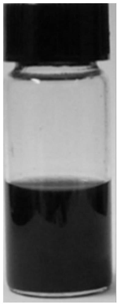 Black phosphorus nanosheet, preparation method and application thereof