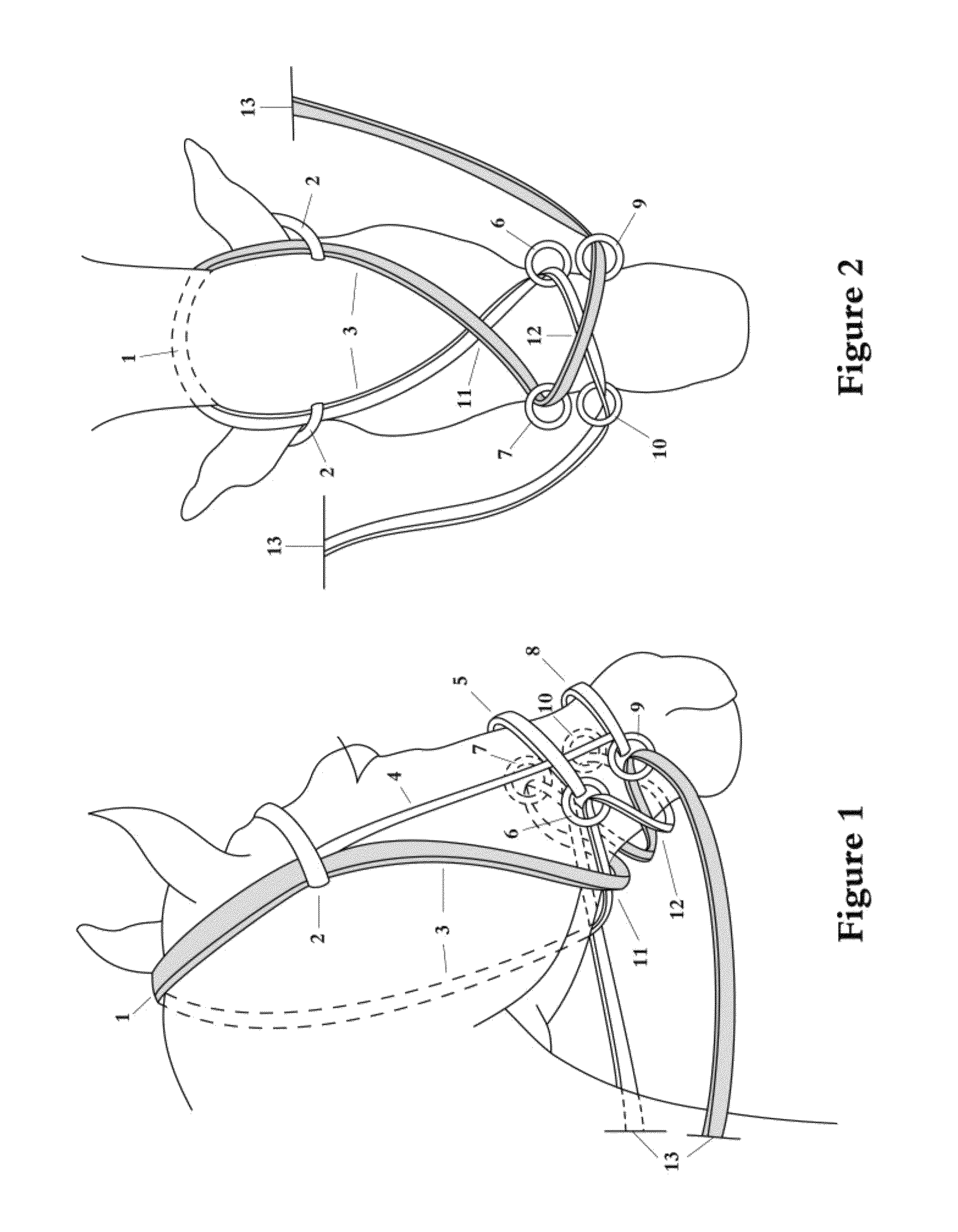 Bitless Bridle with double cross under reinstraps