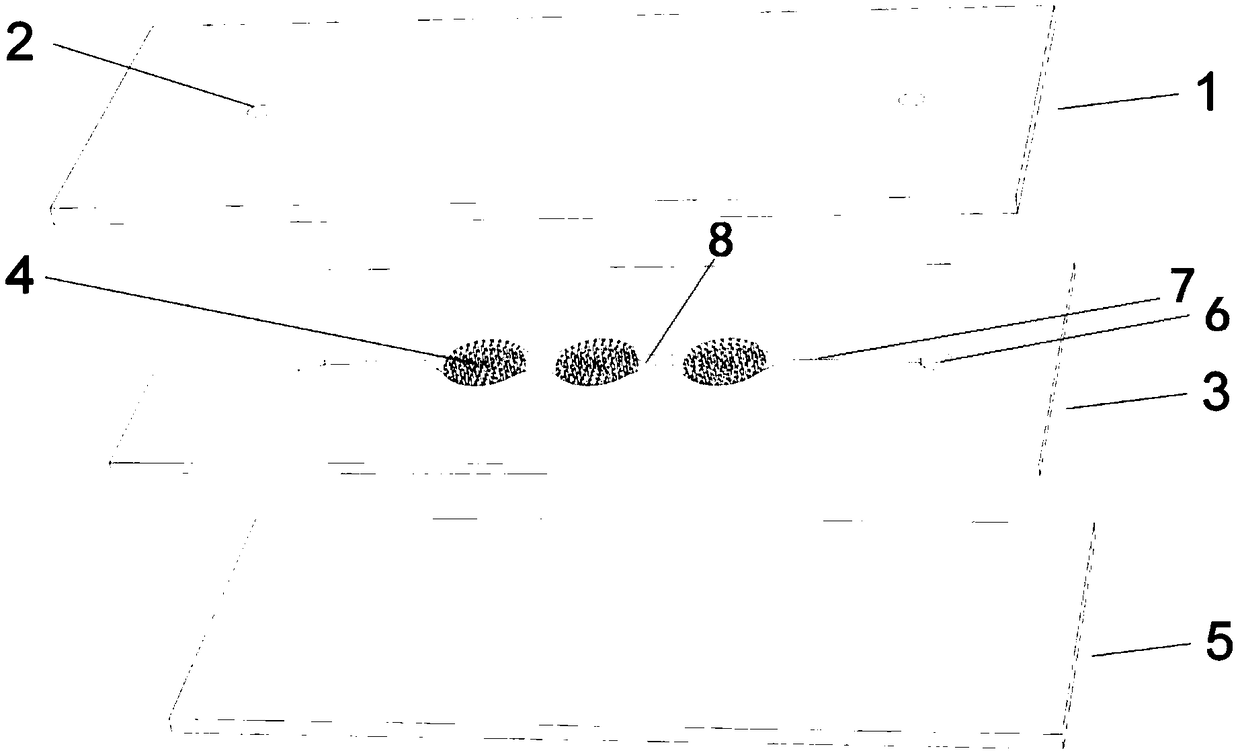 Hydrogel-based digital PCR chip, and application method thereof