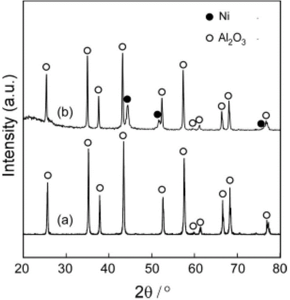 Method for coating surface of oxide ceramic powder with metal nanoparticles