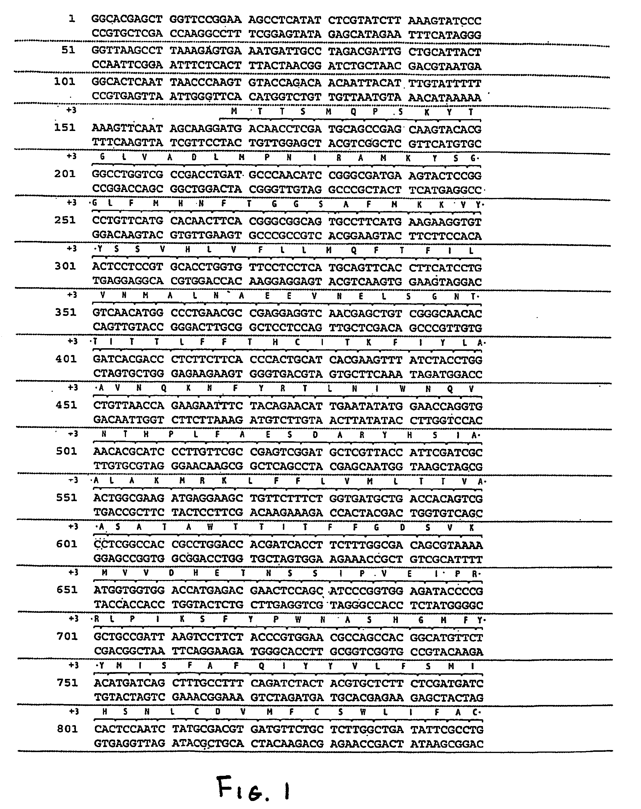 Nucleic acids and proteins of insect or83b odorant receptor genes and uses thereof