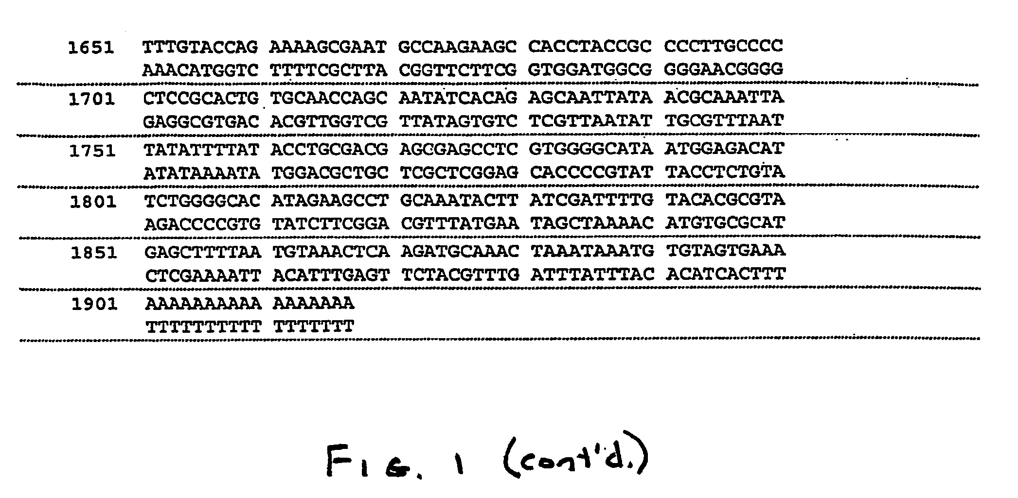 Nucleic acids and proteins of insect or83b odorant receptor genes and uses thereof