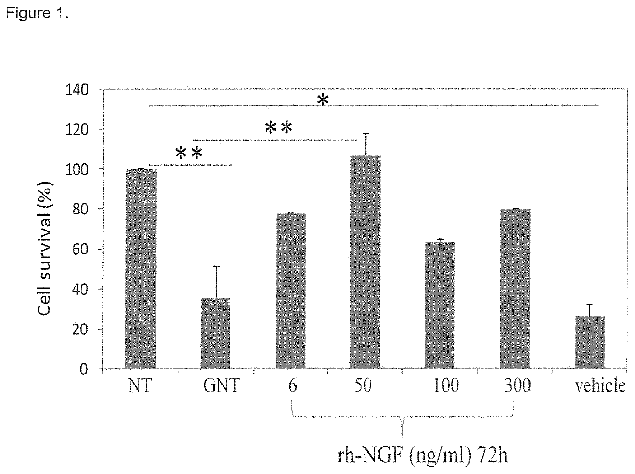 Neurotrophins for use in the treatment of hearing loss