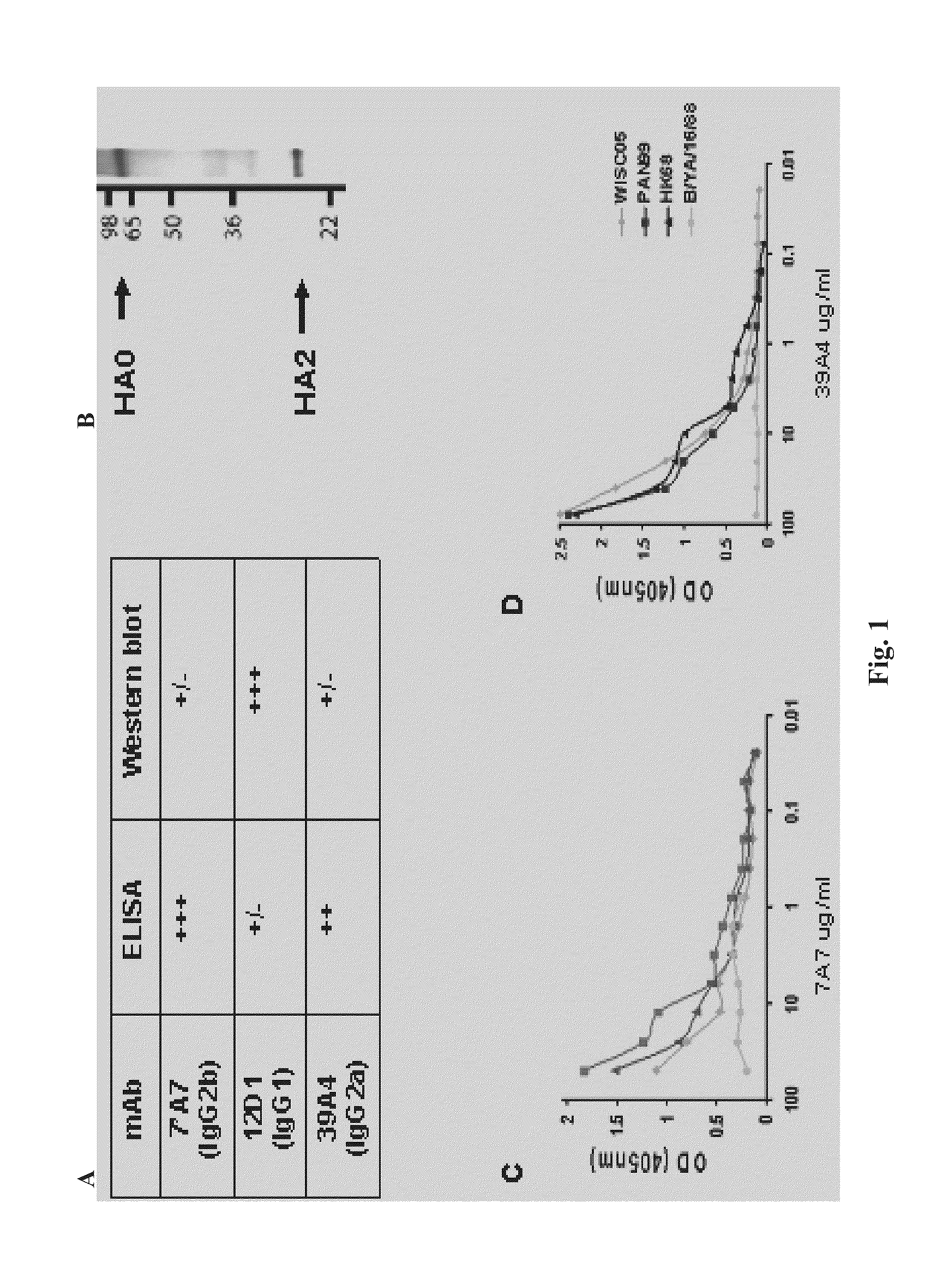 Monoclonal antibodies against influenza virus generated by cyclical administration and uses thereof