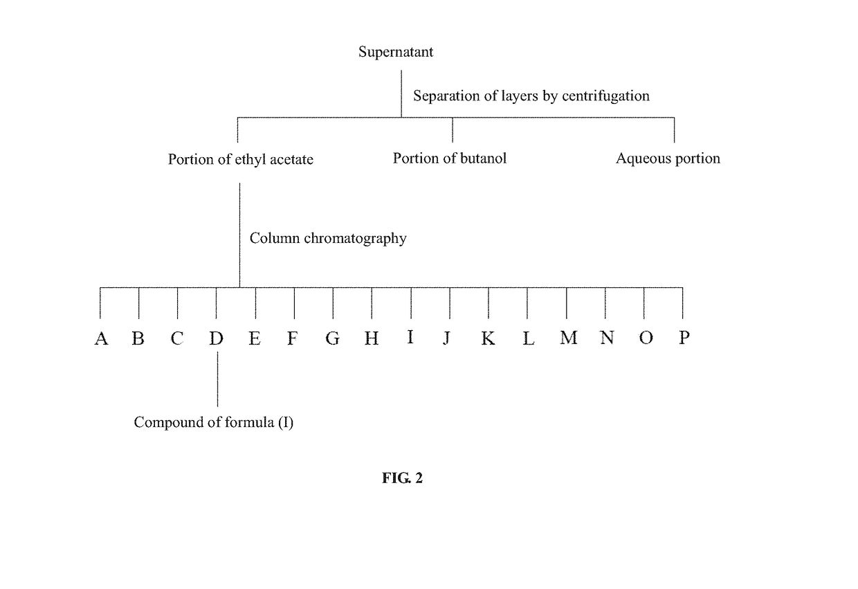 Method for inhibiting melanogenesis and promoting collagen production and wound healing