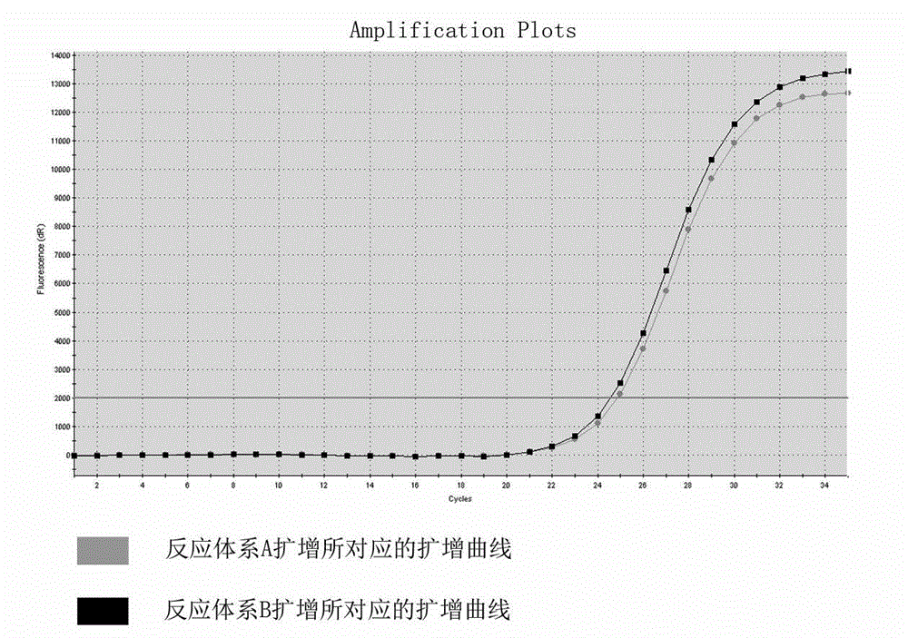 MTHFR gene polymorphism detection primer system and kit thereof