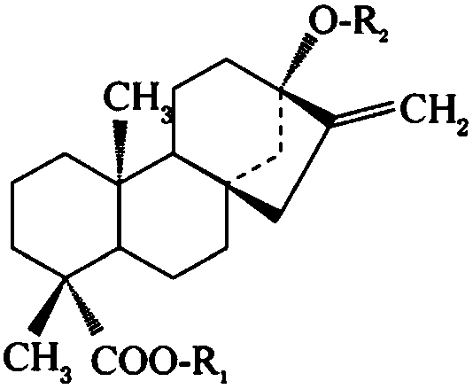 Industrialized utilization method of stevia rebaudiana and chlorogenic acid and stevioside