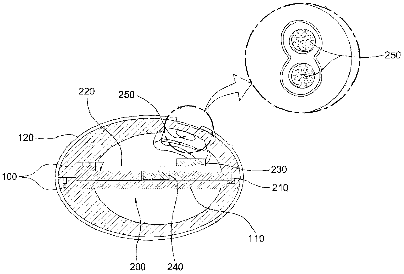 Magnetic vibration apparatus using external pressure, and shoe having same installed therein