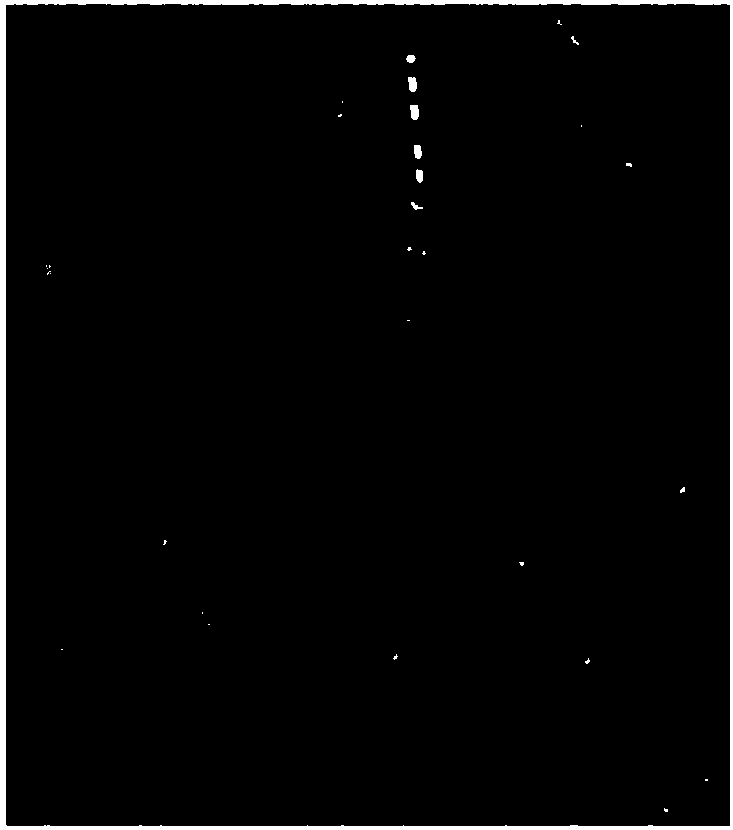 Image recognition-based staple crop plant height measurement method