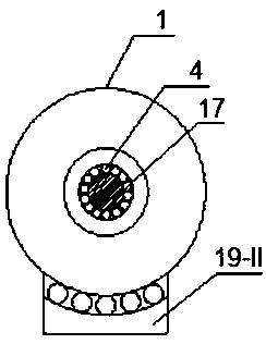 Organic waste low-temperature in-situ degradation reaction device and application