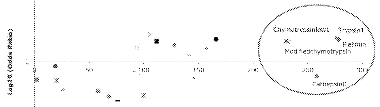 Protein hydrolysates and methods of making same