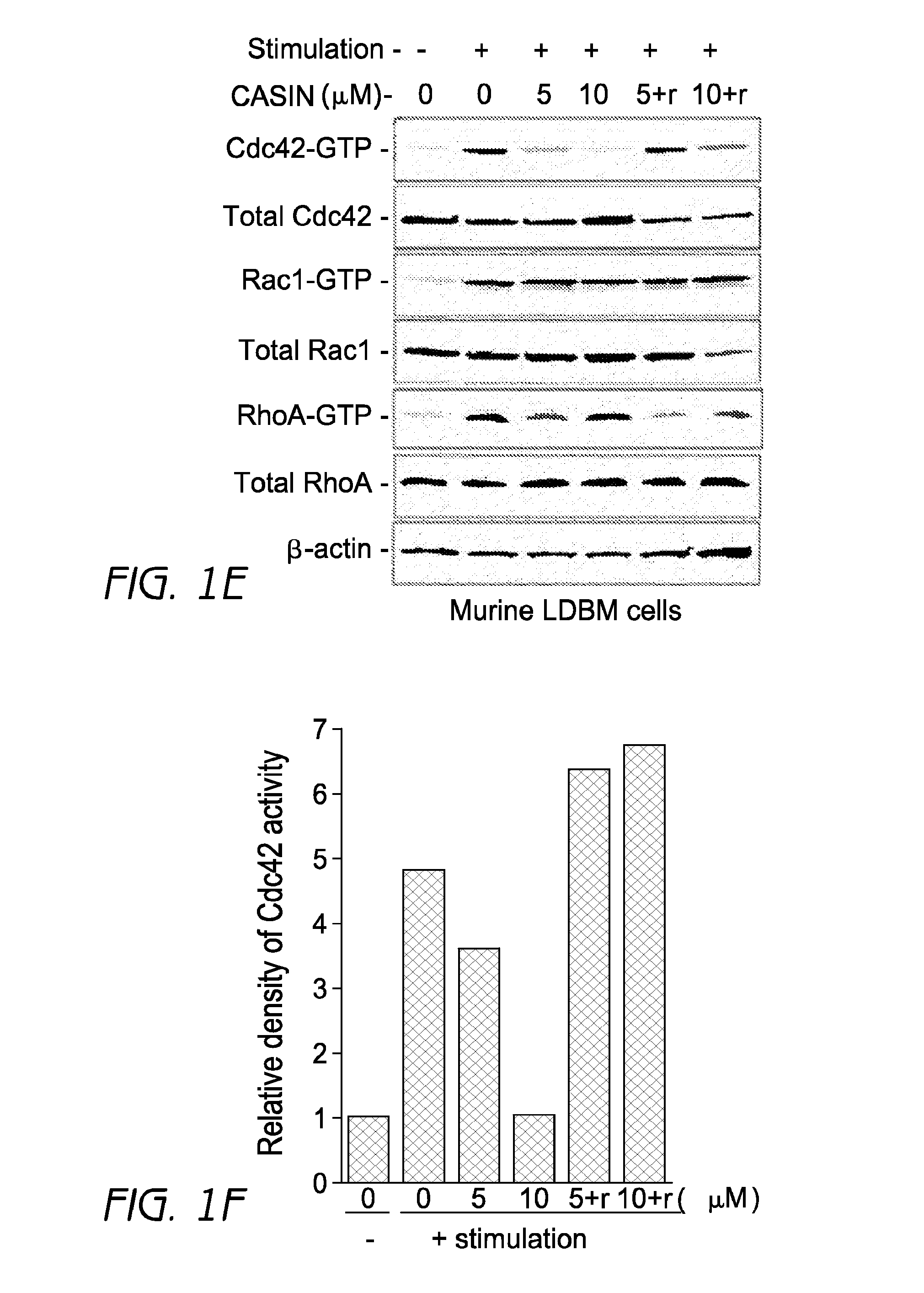 Mobilization of hematopoietic stem cells