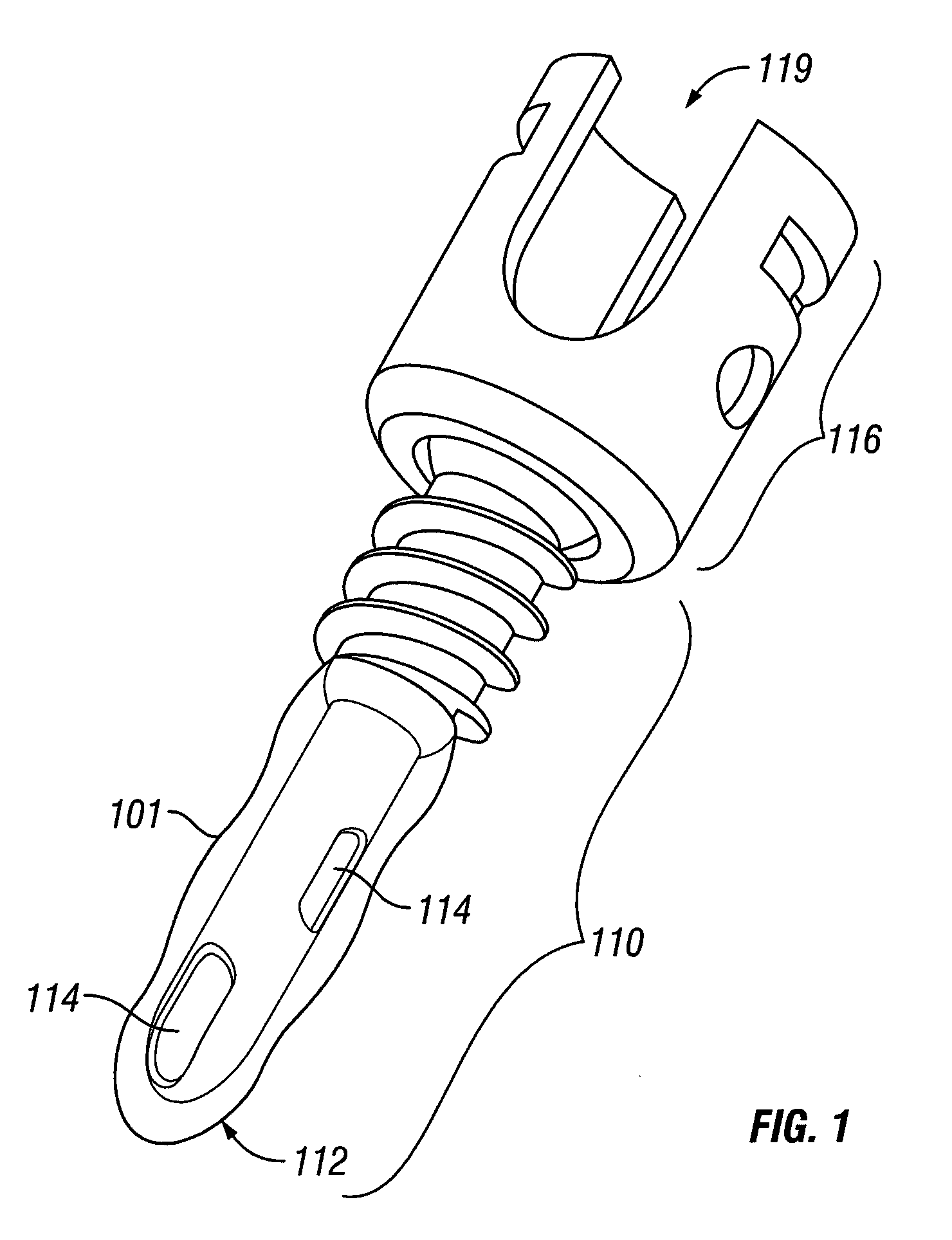 Bio-Resorbable Capsule Containing Fenestrated Screw System For Osteoporotic Subject