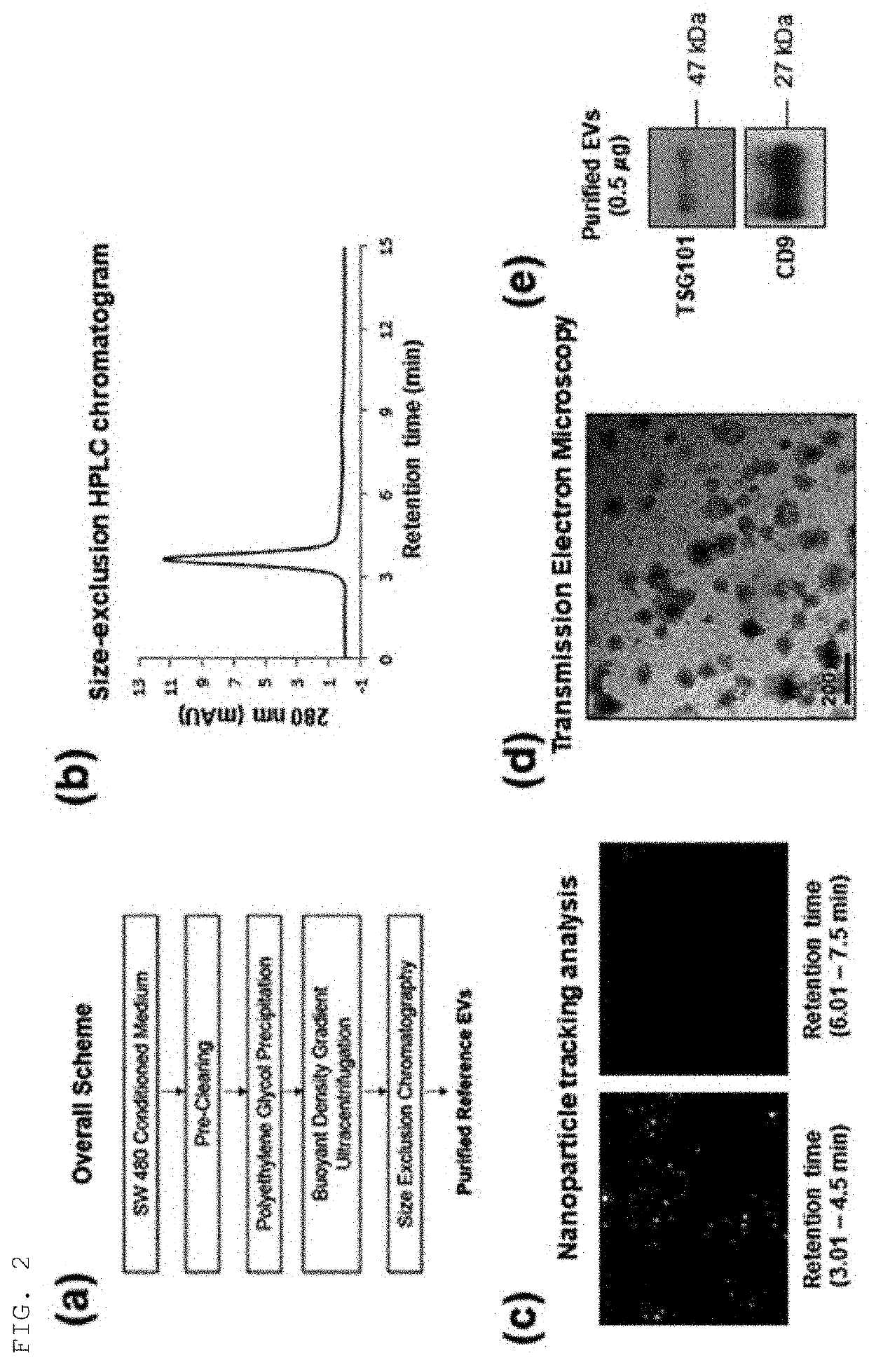 Method for isolating extracellular vesicles using cations