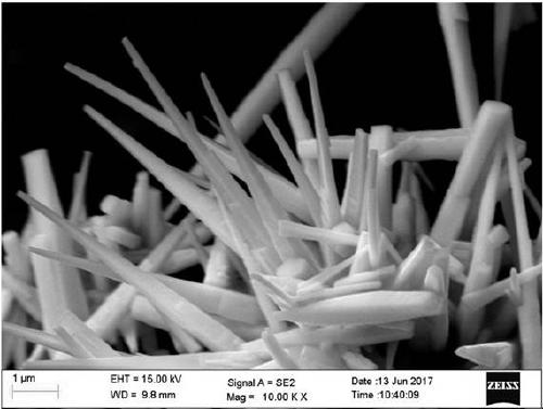 A controlled synthesis method of uranium oxide micro/nano crystals