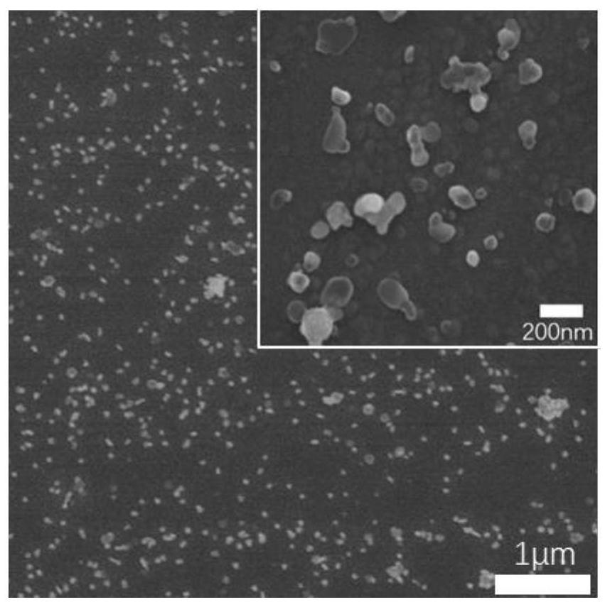 A self-assembled antibacterial coating based on nano-silver/d-cysteine ​​and its preparation method