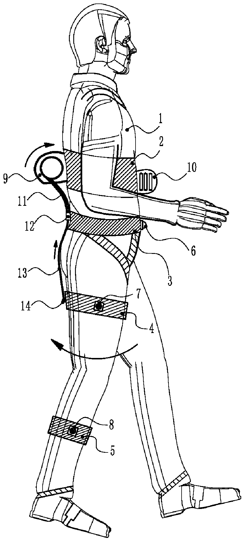 Flexible functional outwear body for assisting lower limbs
