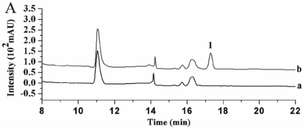 A method for determining the content of melamine in dairy products