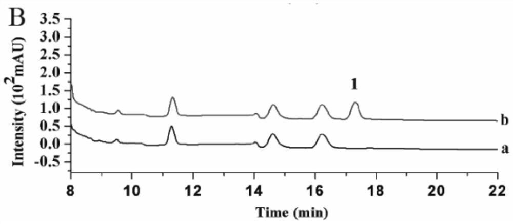 A method for determining the content of melamine in dairy products