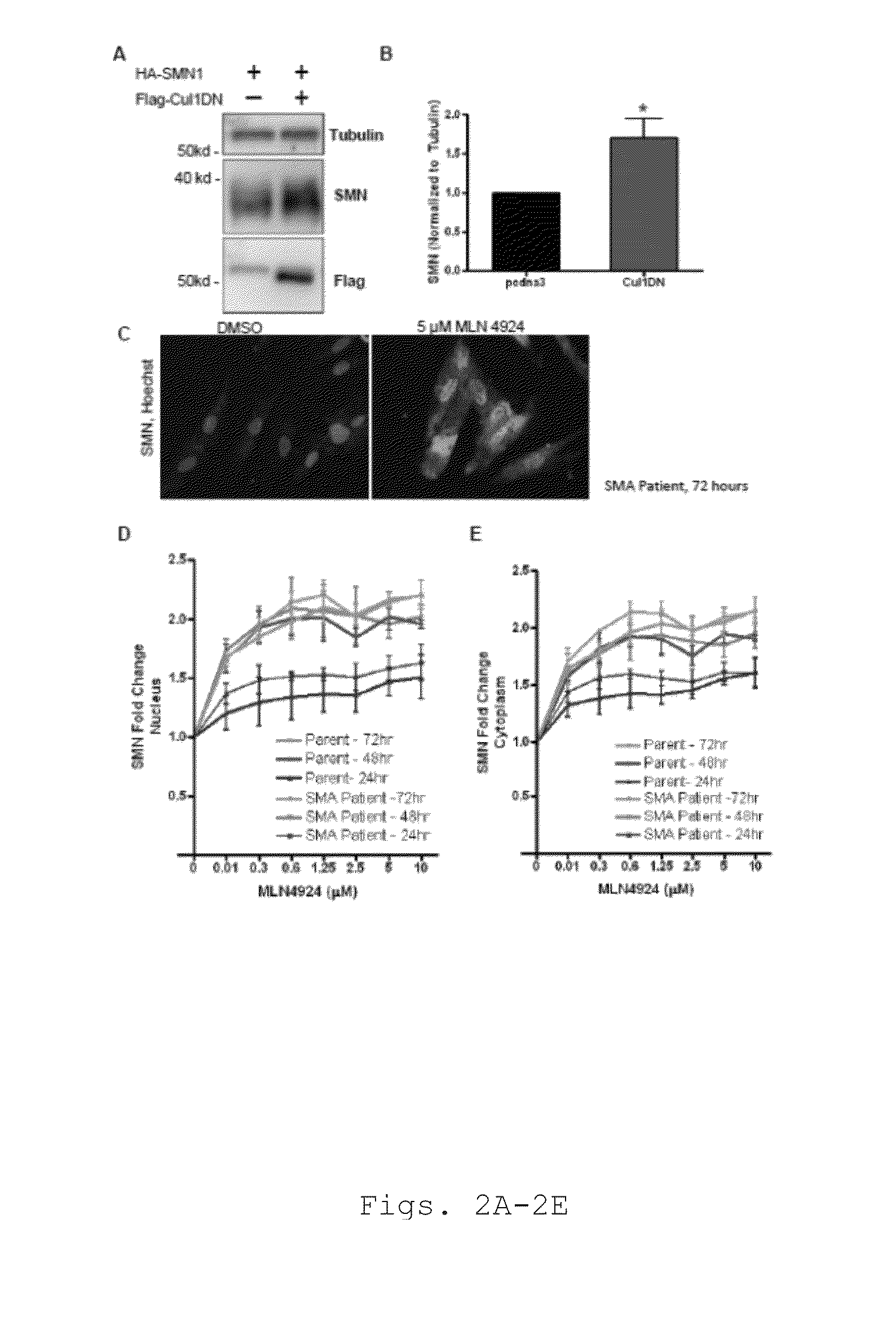 Compounds, compositions and methods for treating or preventing neurodegenerative disorders