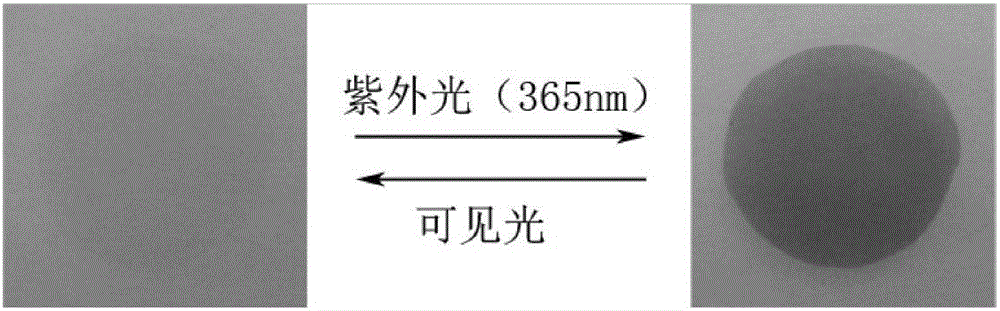 Preparation method of high-strength light sensitive hydrogel