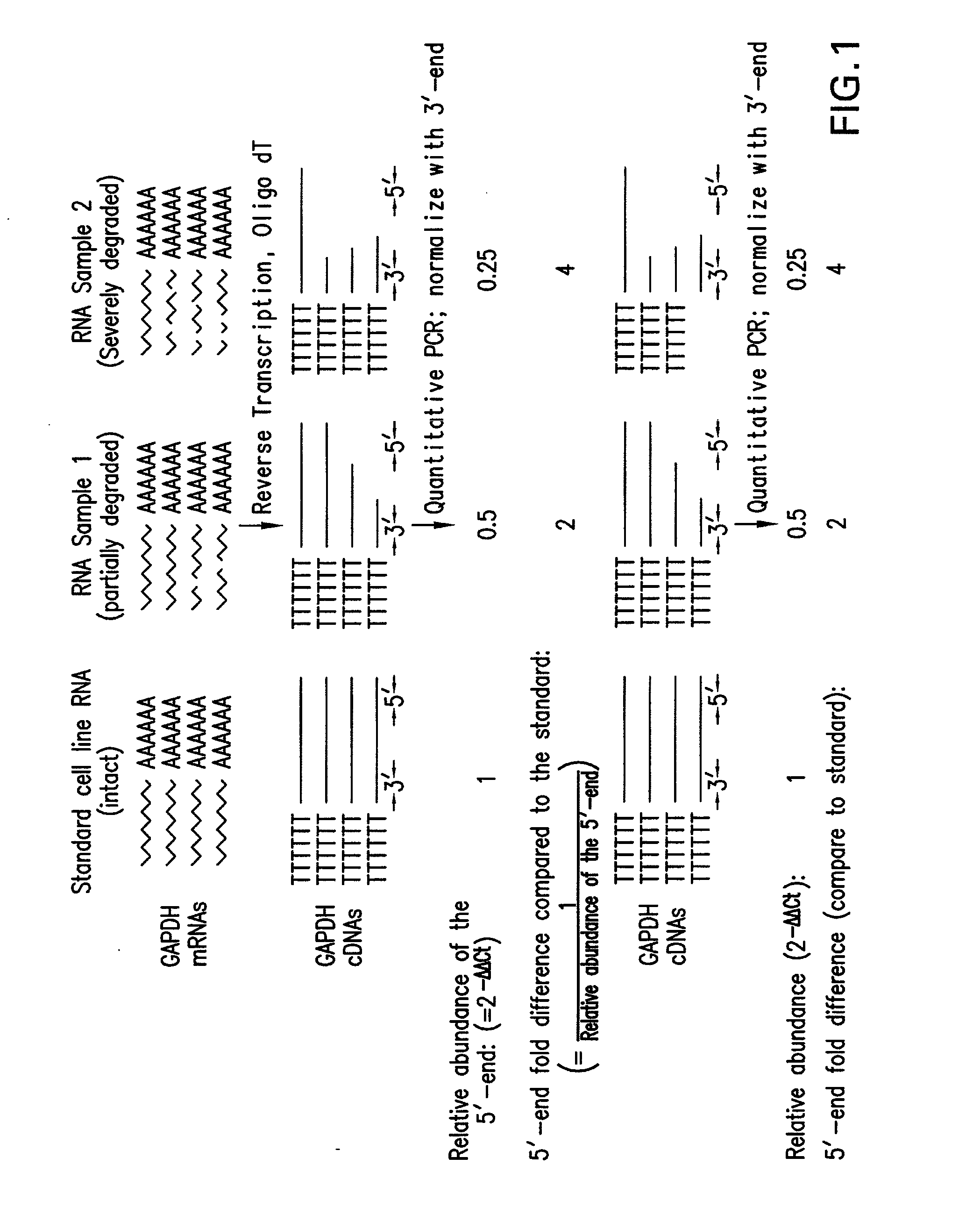 Method and kit for evaluating RNA quality
