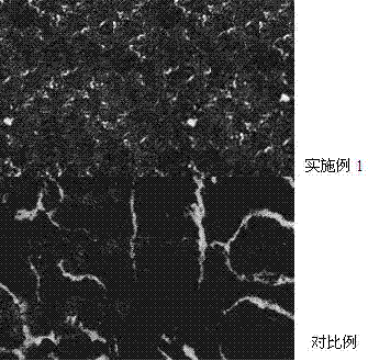 Intergranular corrosion resistant austenitic system stainless steel