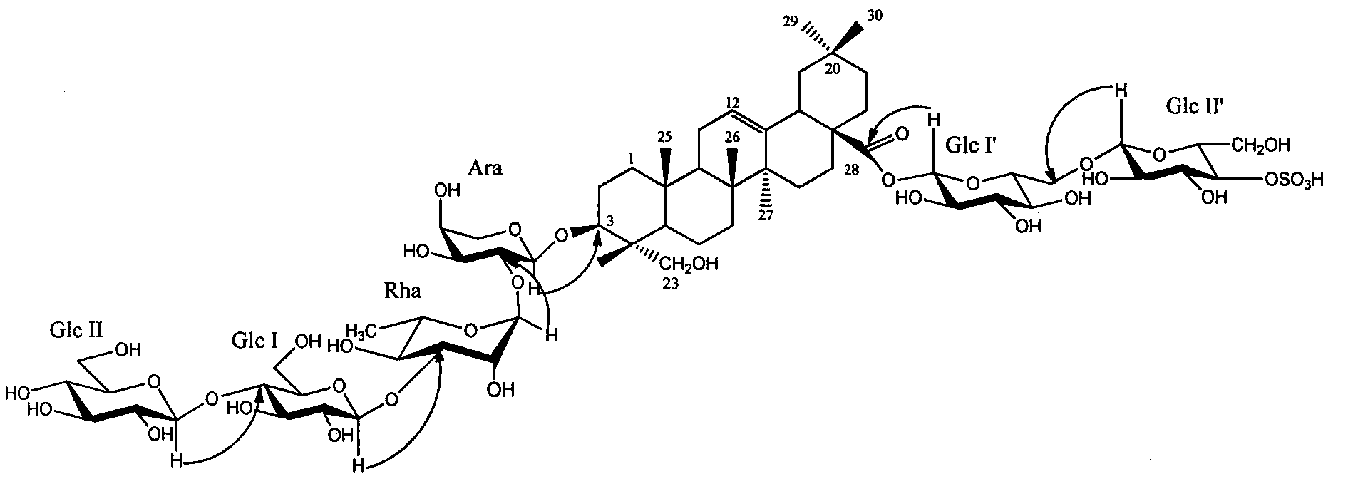 New honeysuckle lonimacranthoide and preparation method and application thereof