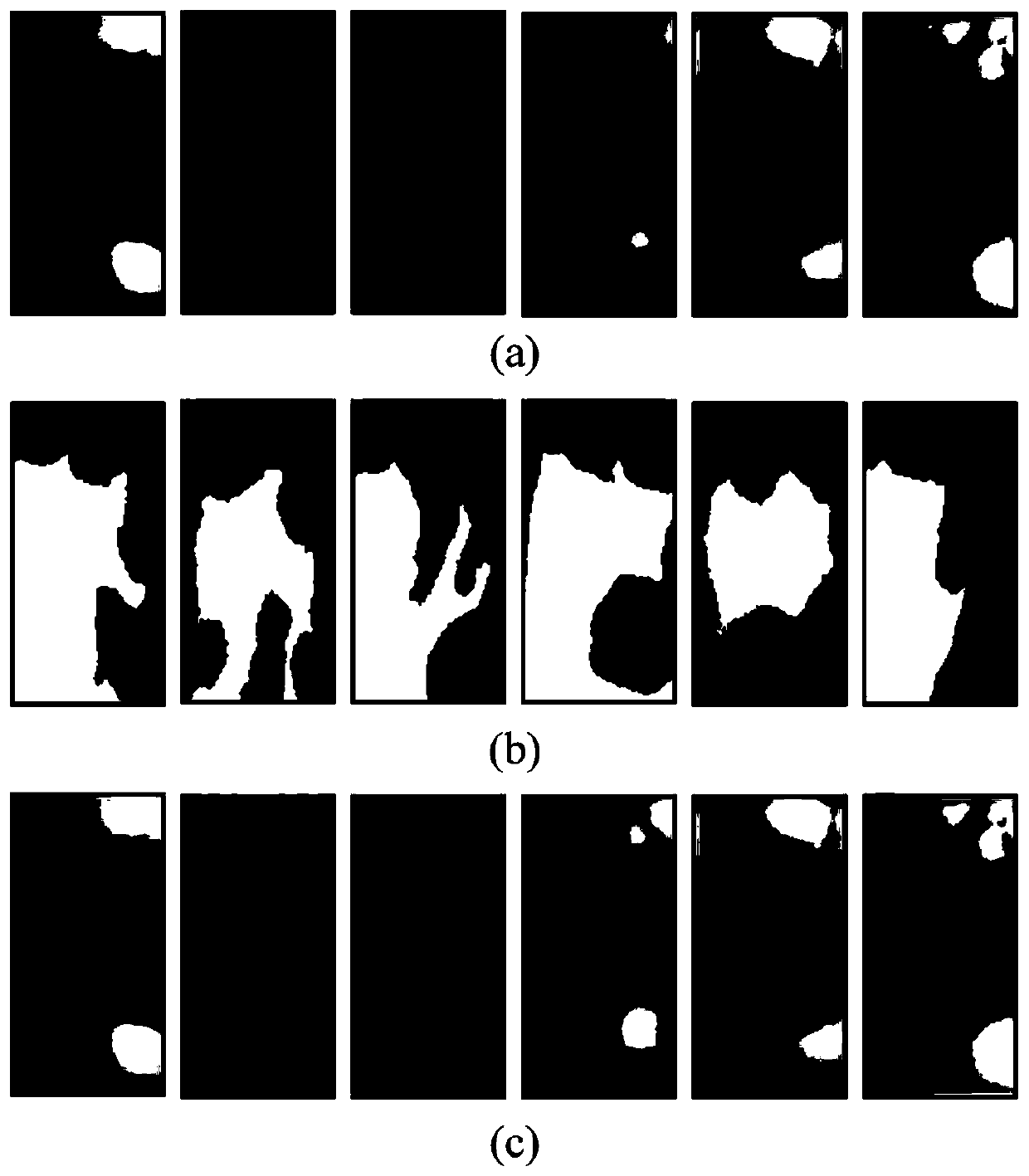 Finger vein image quick segmentation method based on active contour model