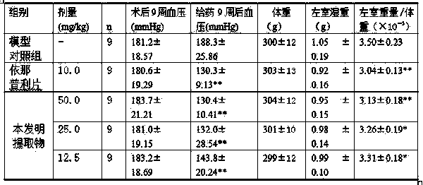 Traditional Chinese medicine composition and application thereof in preparation of medicines for treating hypertension