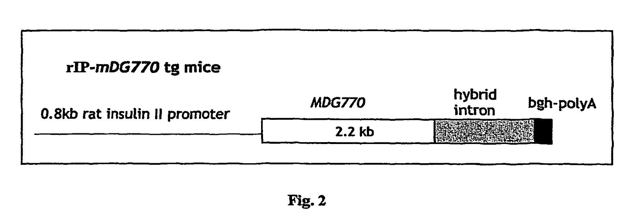 Method for treating diabetes using neurturin