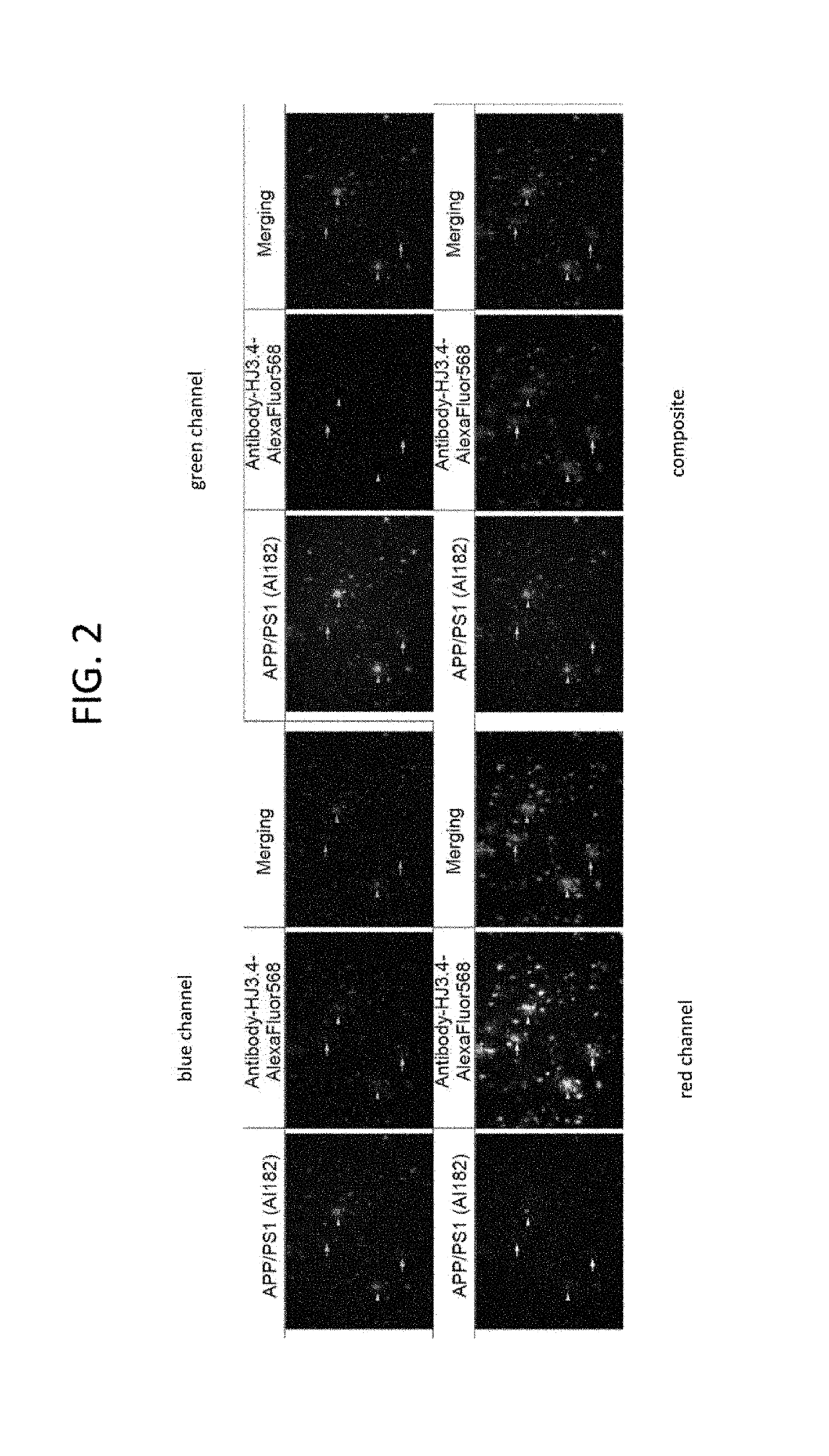 Heterocyclic molecules for biomedical imaging and therapeutic applications