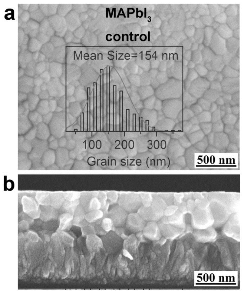 A kind of preparation method of quasi-single crystal perovskite thin film