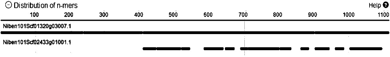 Atg 5 transient silencing vector