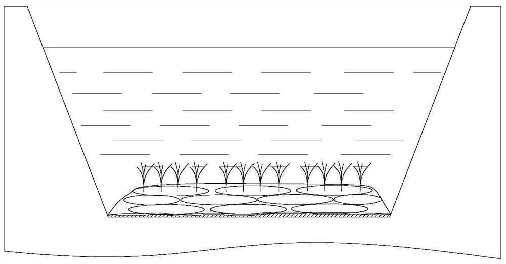 An Ecological Restoration System for Hard Channels