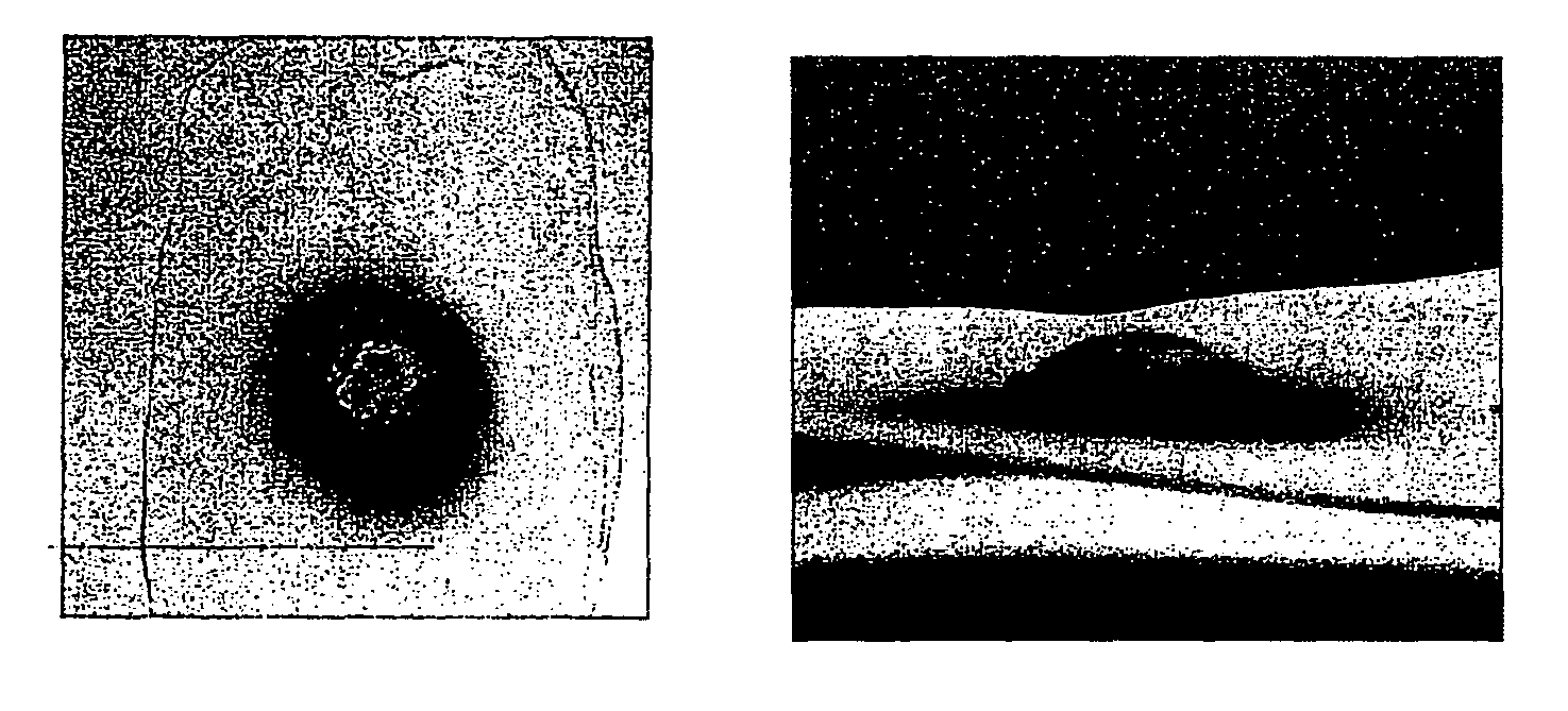 Organic/inorganic composite and fire-resistant plate utilizing the same