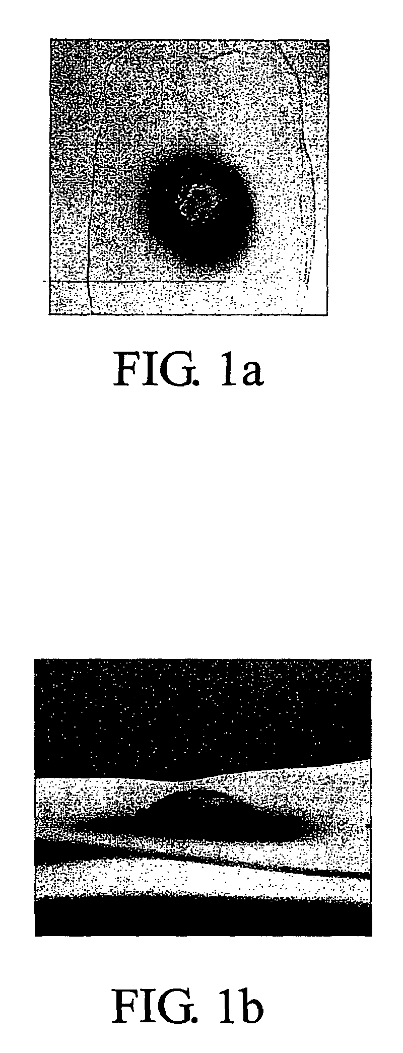 Organic/inorganic composite and fire-resistant plate utilizing the same