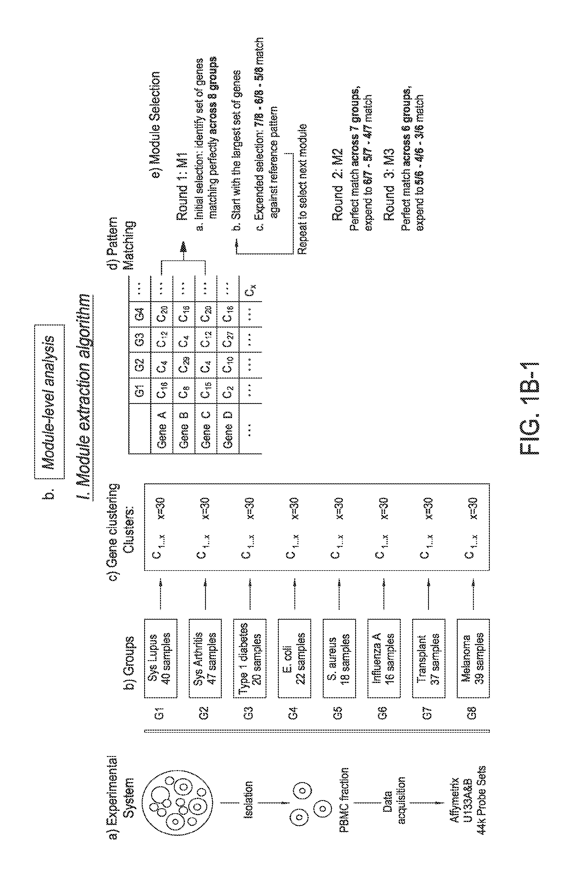 Module-level analysis of peripheral blood leukocyte transcriptional profiles