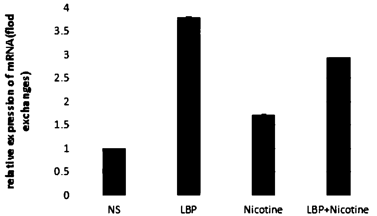 Analysis method for relieving nicotine-induced mouse sperm quantity and motility decline